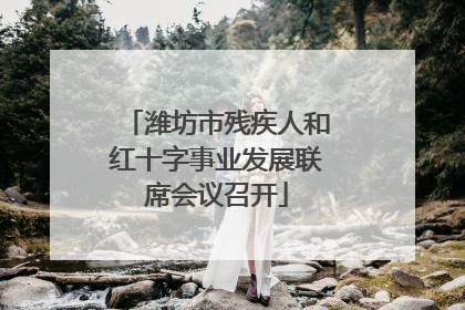 潍坊市残疾人和红十字事业发展联席会议召开