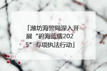 潍坊海警局深入开展“碧海蓝盾2025”专项执法行动