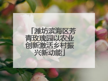 潍坊滨海区芳青玫瑰园以农业创新激活乡村振兴新动能