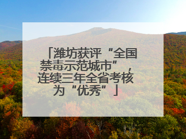 潍坊获评“全国禁毒示范城市”，连续三年全省考核为“优秀”