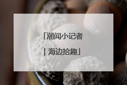 潮闻小记者｜海边拾趣