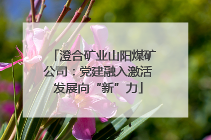 澄合矿业山阳煤矿公司：党建融入激活发展向“新”力