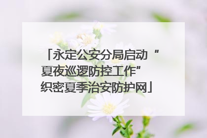 永定公安分局启动“夏夜巡逻防控工作” 织密夏季治安防护网