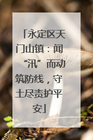 永定区天门山镇：闻“汛”而动筑防线，守土尽责护平安