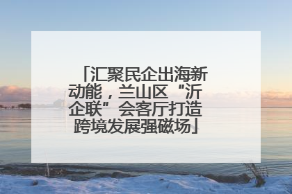 汇聚民企出海新动能，兰山区“沂企联”会客厅打造跨境发展强磁场