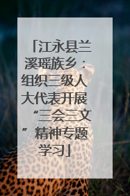 江永县兰溪瑶族乡：组织三级人大代表开展“三会三文”精神专题学习