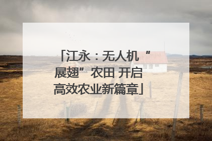 江永：无人机“展翅”农田 开启高效农业新篇章