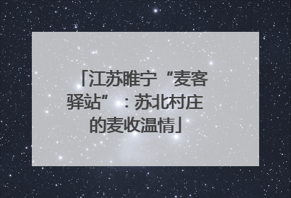 江苏睢宁“麦客驿站”：苏北村庄的麦收温情