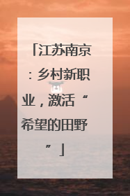 江苏南京：乡村新职业，激活“希望的田野”
