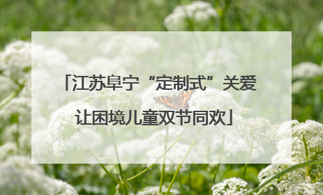 江苏阜宁“定制式”关爱 让困境儿童双节同欢