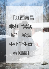 江西南昌举办“鸿鹄展” 展现中小学生青春风貌
