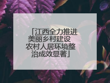 江西全力推进美丽乡村建设 农村人居环境整治成效显著