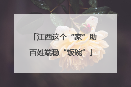 江西这个“家”助百姓端稳“饭碗”