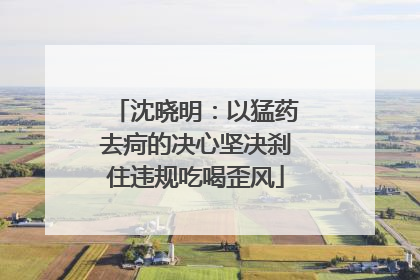 沈晓明：以猛药去疴的决心坚决刹住违规吃喝歪风
