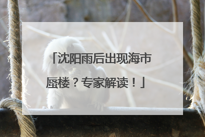 沈阳雨后出现海市蜃楼？专家解读！