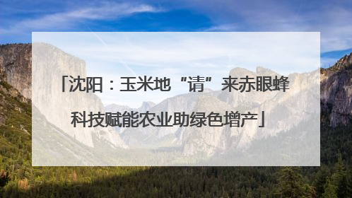 沈阳：玉米地“请”来赤眼蜂 科技赋能农业助绿色增产