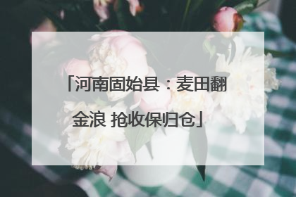 河南固始县：麦田翻金浪 抢收保归仓