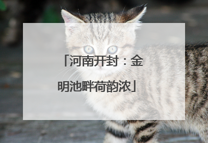 河南开封：金明池畔荷韵浓