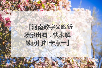 河南数字文旅新场景出圈，快来解锁热门打卡点→