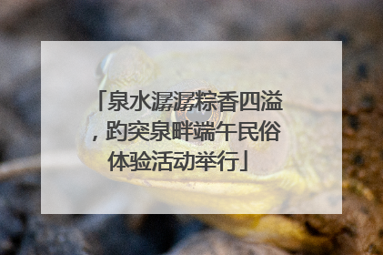 泉水潺潺粽香四溢，趵突泉畔端午民俗体验活动举行
