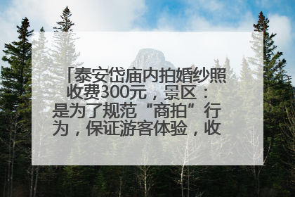 泰安岱庙内拍婚纱照收费300元，景区：是为了规范“商拍”行为，保证游客体验，收取费用全部上交国库