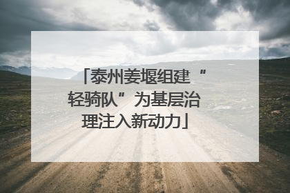 泰州姜堰组建“轻骑队”为基层治理注入新动力
