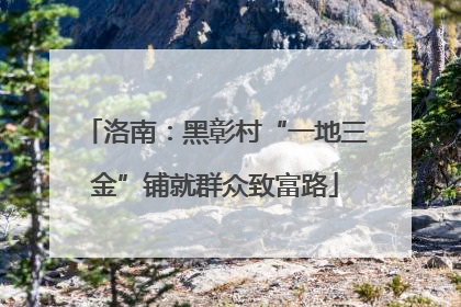 洛南：黑彰村“一地三金”铺就群众致富路