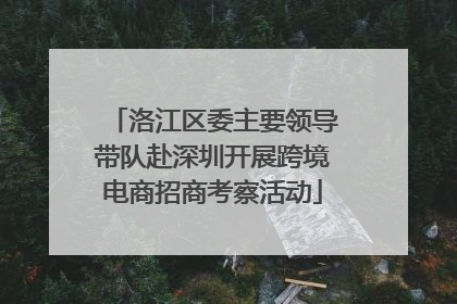 洛江区委主要领导带队赴深圳开展跨境电商招商考察活动