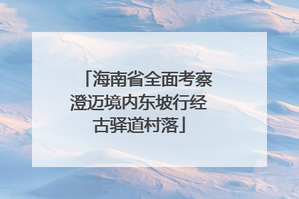 海南省全面考察澄迈境内东坡行经古驿道村落