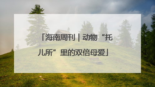 海南周刊｜动物“托儿所”里的双倍母爱