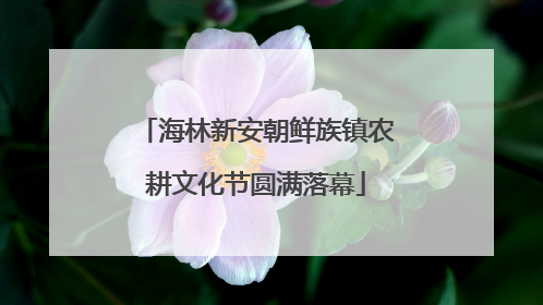 海林新安朝鲜族镇农耕文化节圆满落幕