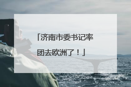 济南市委书记率团去欧洲了！
