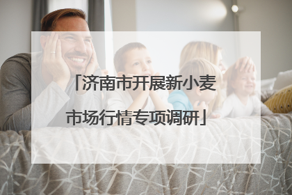 济南市开展新小麦市场行情专项调研