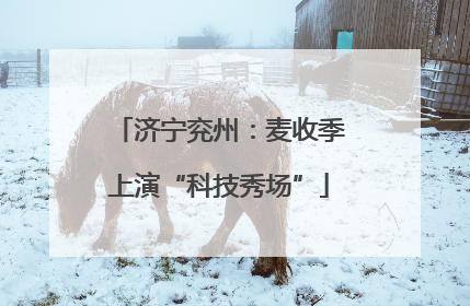 济宁兖州：麦收季上演“科技秀场”