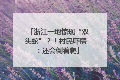 浙江一地惊现“双头蛇”？！村民吓懵：还会倒着爬