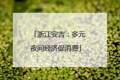 浙江安吉：多元夜间经济促消费
