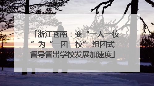 浙江苍南：变“一人一校”为“一团一校” 组团式督导督出学校发展加速度