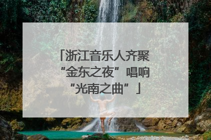 浙江音乐人齐聚“金东之夜”唱响“光南之曲”