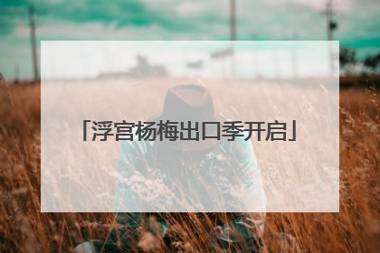 浮宫杨梅出口季开启