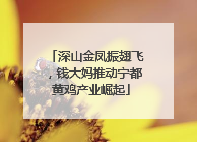 深山金凤振翅飞，钱大妈推动宁都黄鸡产业崛起