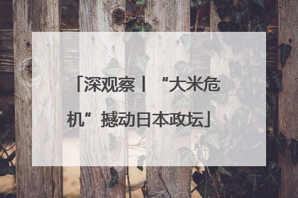 深观察丨“大米危机”撼动日本政坛