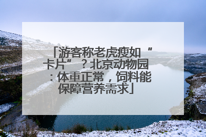 游客称老虎瘦如“卡片”？北京动物园：体重正常，饲料能保障营养需求