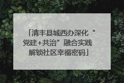 清丰县城西办深化“党建+共治”融合实践 解锁社区幸福密码