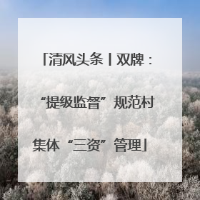 清风头条丨双牌：“提级监督”规范村集体“三资”管理