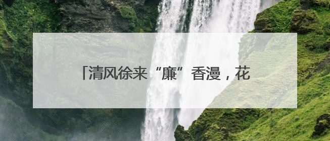 清风徐来“廉”香漫，花堤社区居民“趣”享夏至