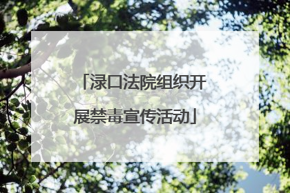渌口法院组织开展禁毒宣传活动