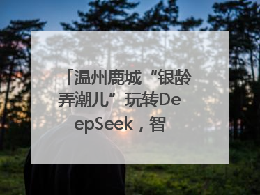 温州鹿城“银龄弄潮儿”玩转DeepSeek，智慧生活触手可及