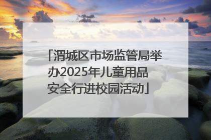 渭城区市场监管局举办2025年儿童用品安全行进校园活动