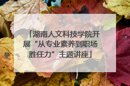 湖南人文科技学院开展“从专业素养到职场胜任力”主题讲座