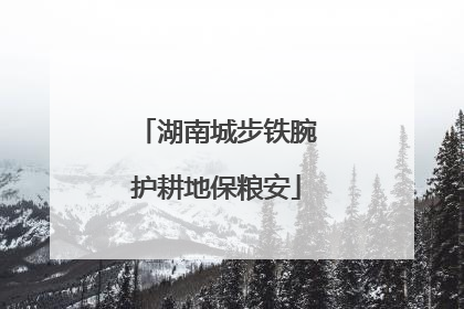 湖南城步铁腕护耕地保粮安